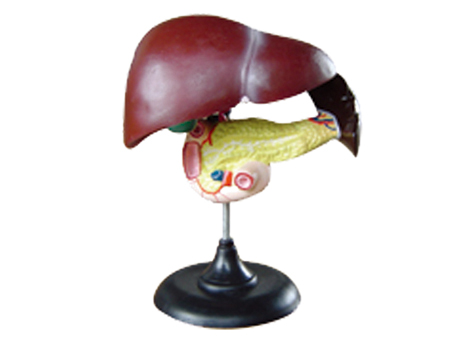 SD-093 33216ʮ֬cKģ